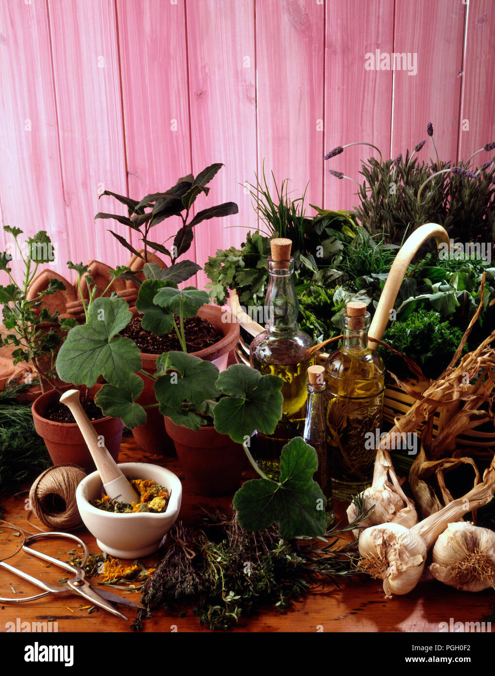 Herb containers hi-res stock photography and images - Alamy