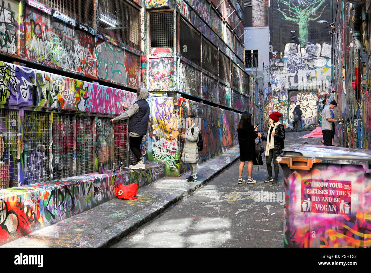 Street artist at work in Hosier Lane, Melbourne, VIC Stock Photo Alamy