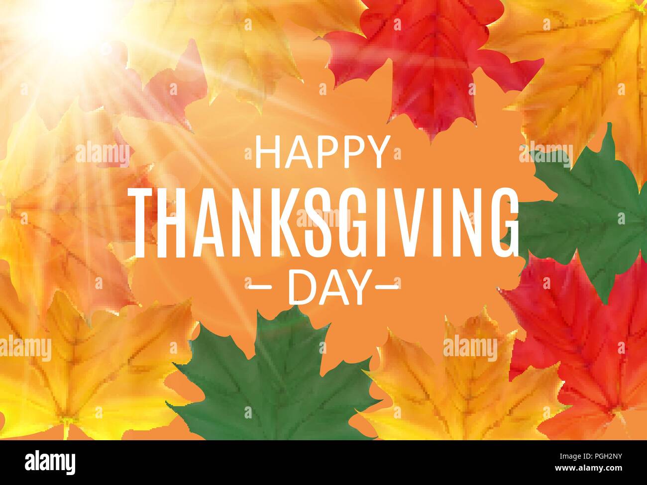Happy Thanksgiving Day Background with Shiny Autumn Natural Leaves ...