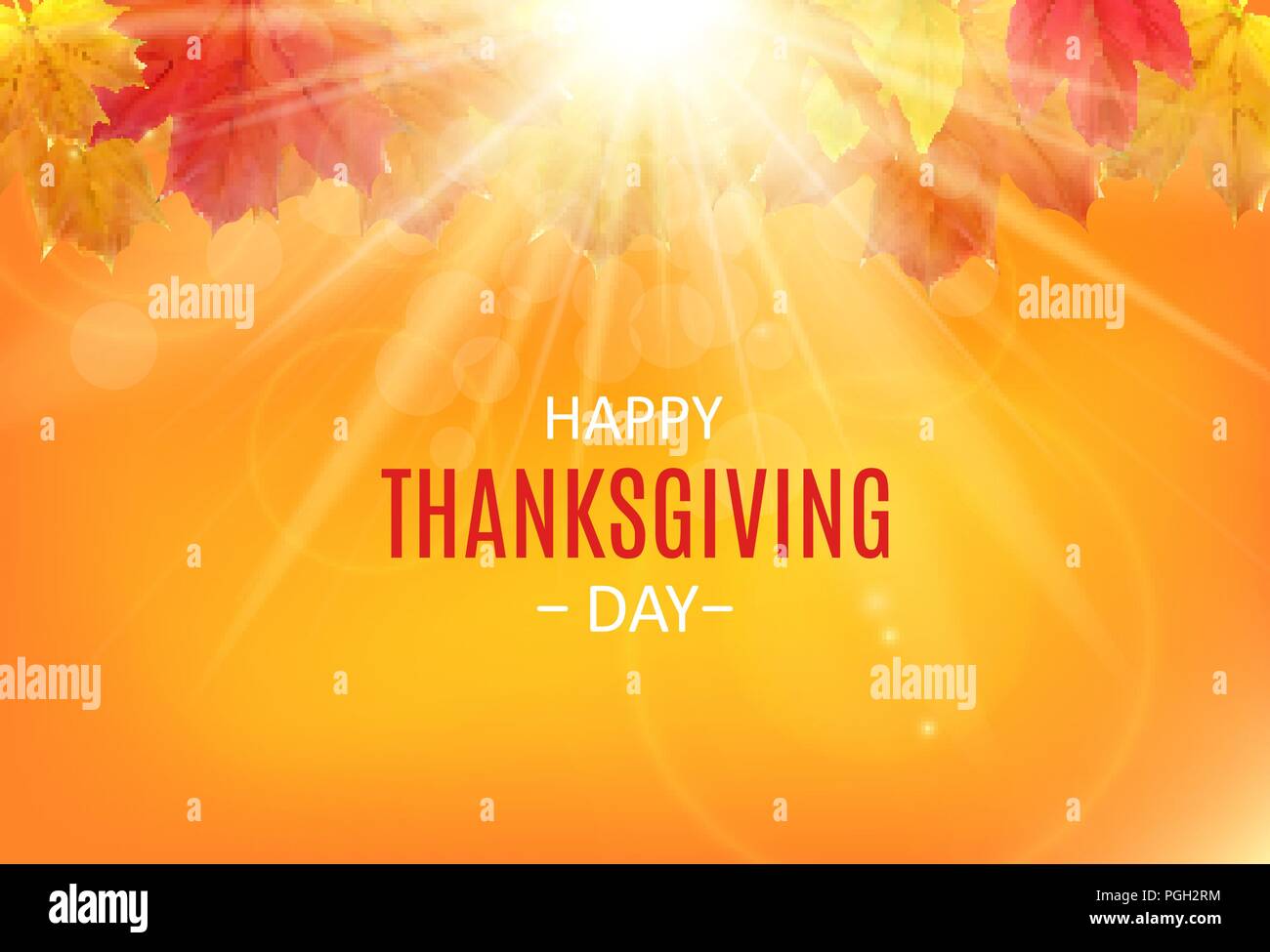 Happy Thanksgiving Day Background with Shiny Autumn Natural Leaves ...
