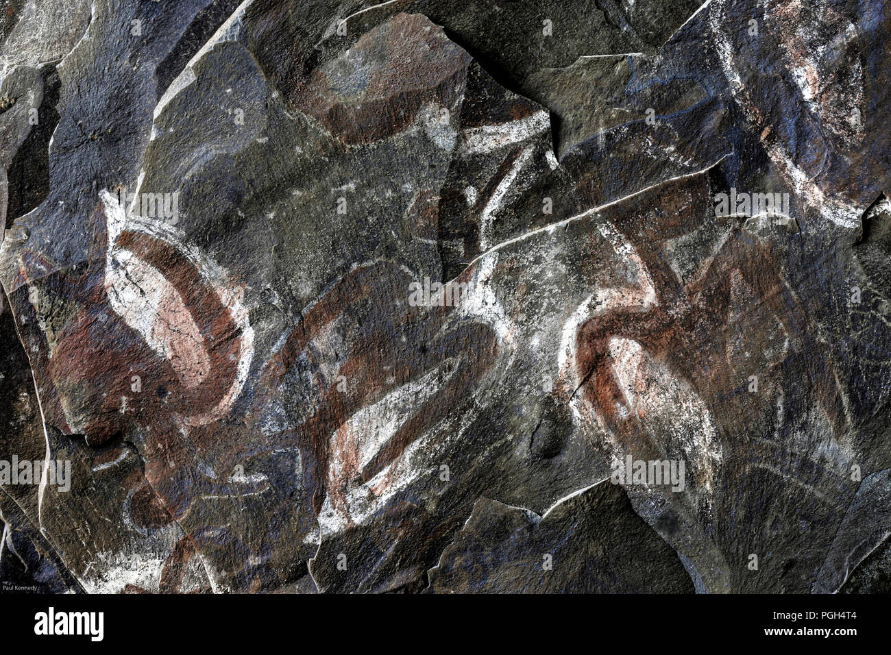 Ancient paintings on the ceiling of Ana Kai Tangata cave in Easter Island (Rapa Nui) Stock Photo