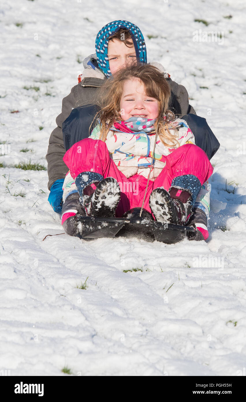 Picture: Sam 7 and Lily 4 Ellis Peebles, Sledging in the snow at Haylodge park Stock Photo