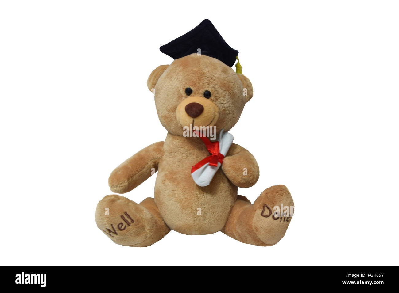TAFE NSW Grad Bear Hugo