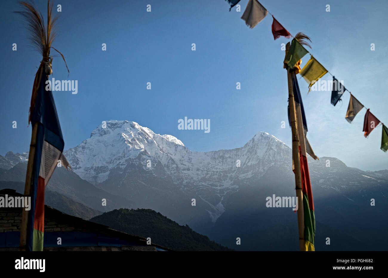 Prayer flags and Annapurnas. Ghandruk, Annapurna trek. Nepal Stock Photo