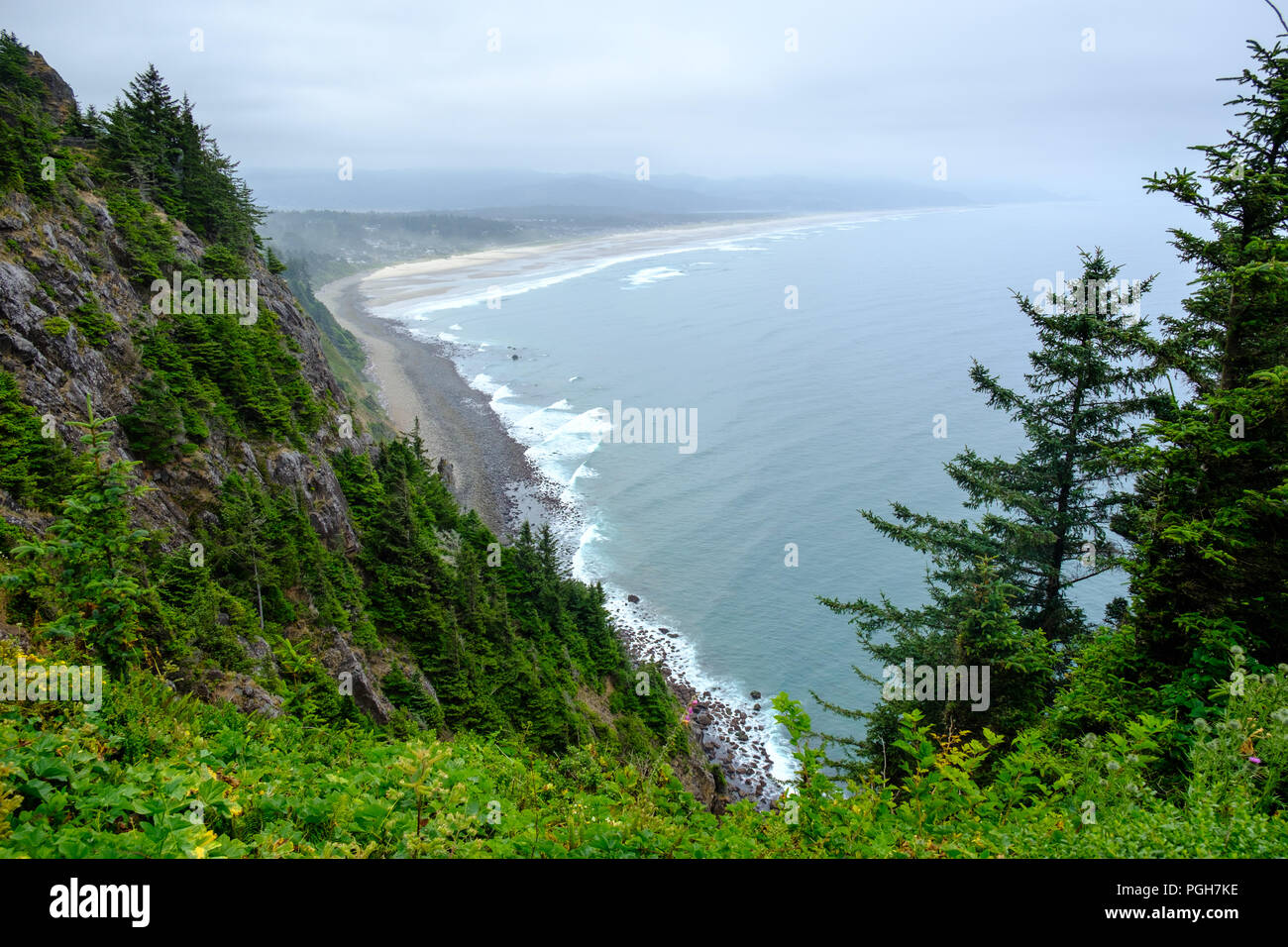 Oregon coast fog trees hires stock photography and images Alamy