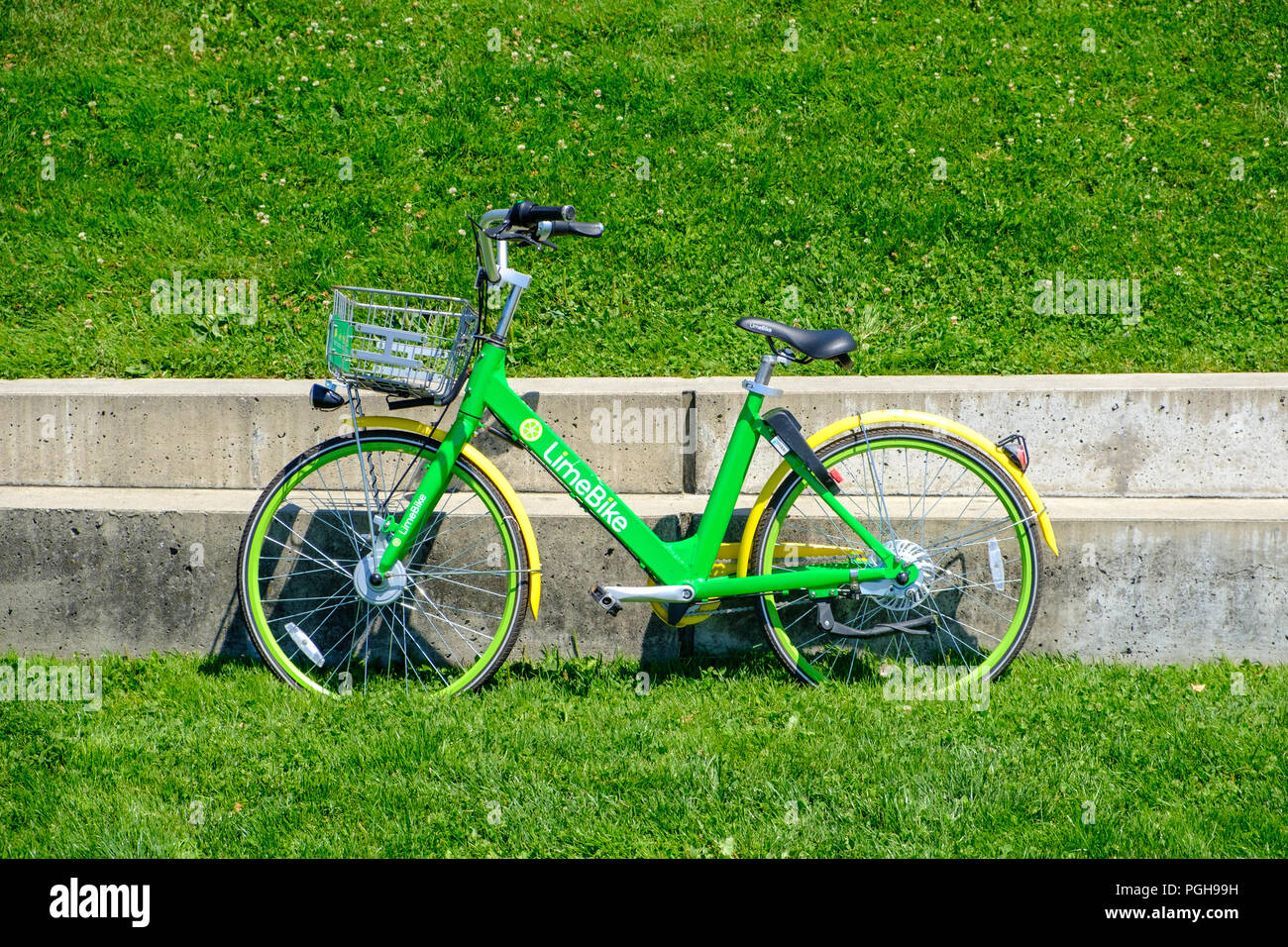limebike stock price
