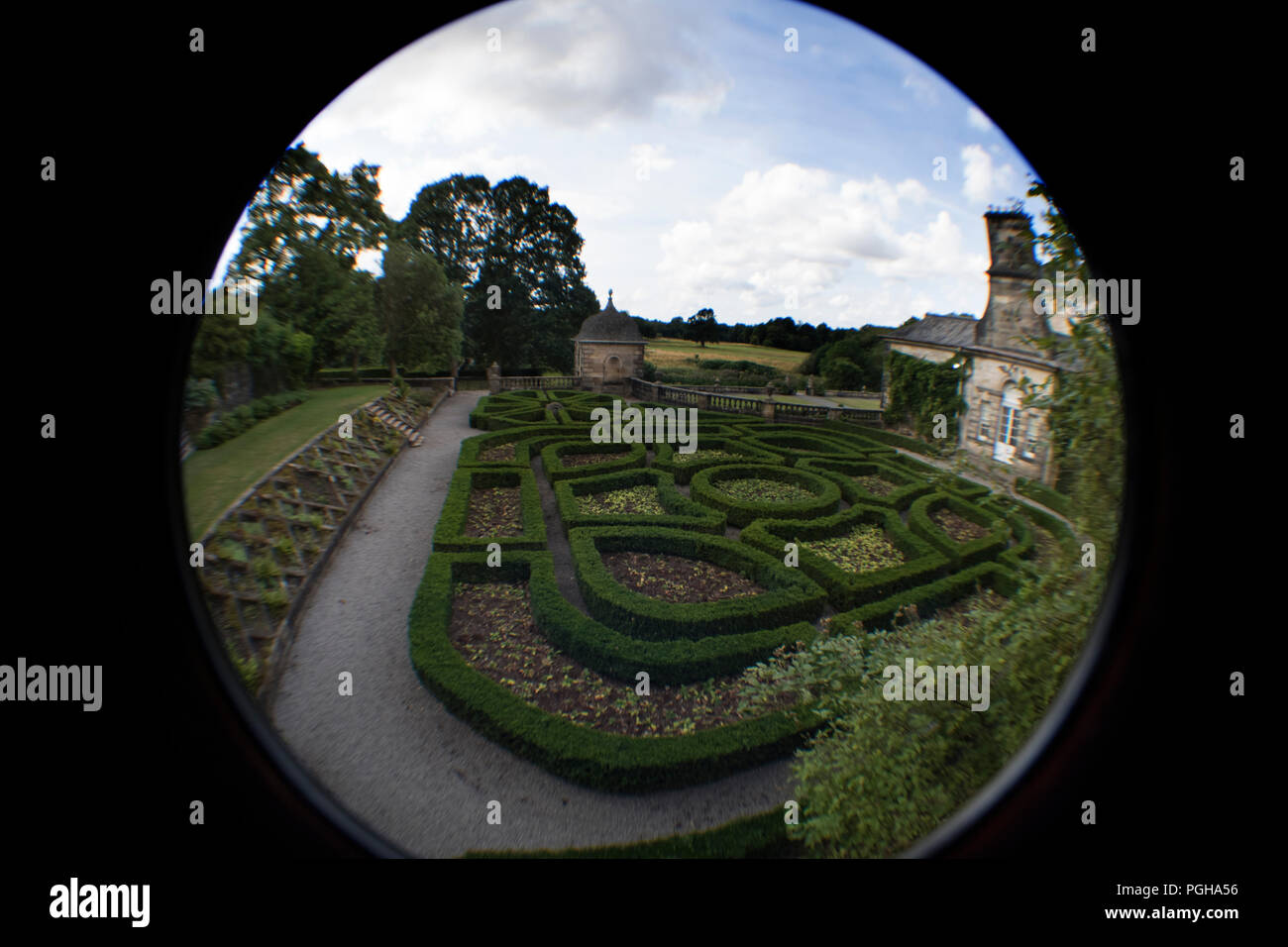 Tree fisheye hi-res stock photography and images - Alamy
