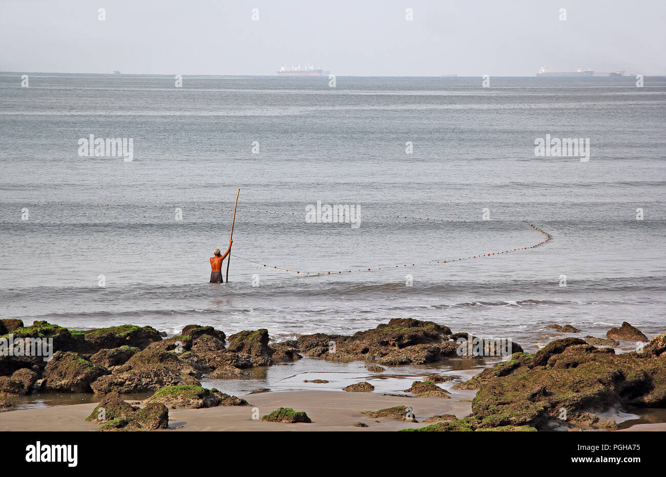 Lone fisherman stand in water with long pole while casting trap net for catching fish at Reis Magos Beach along Mandovi River in Goa, India Stock Photo