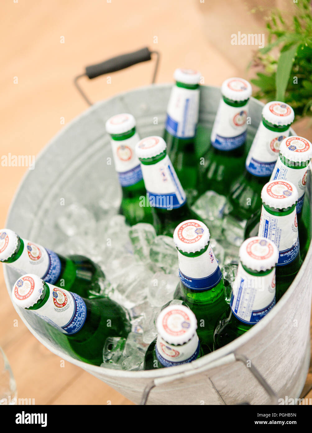 Bucket of lots of cold bottled beers on ice Stock Photo Alamy