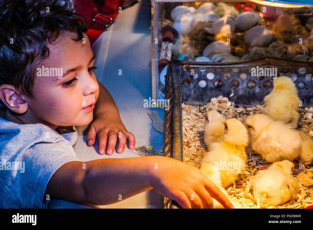 Woodstock Fair Woodstock, Connecticut, USA Stock Photo Alamy