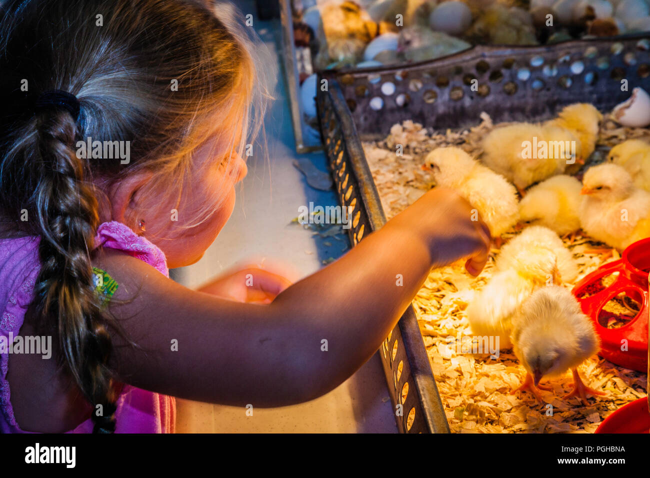 Woodstock Fair Woodstock, Connecticut, USA Stock Photo Alamy