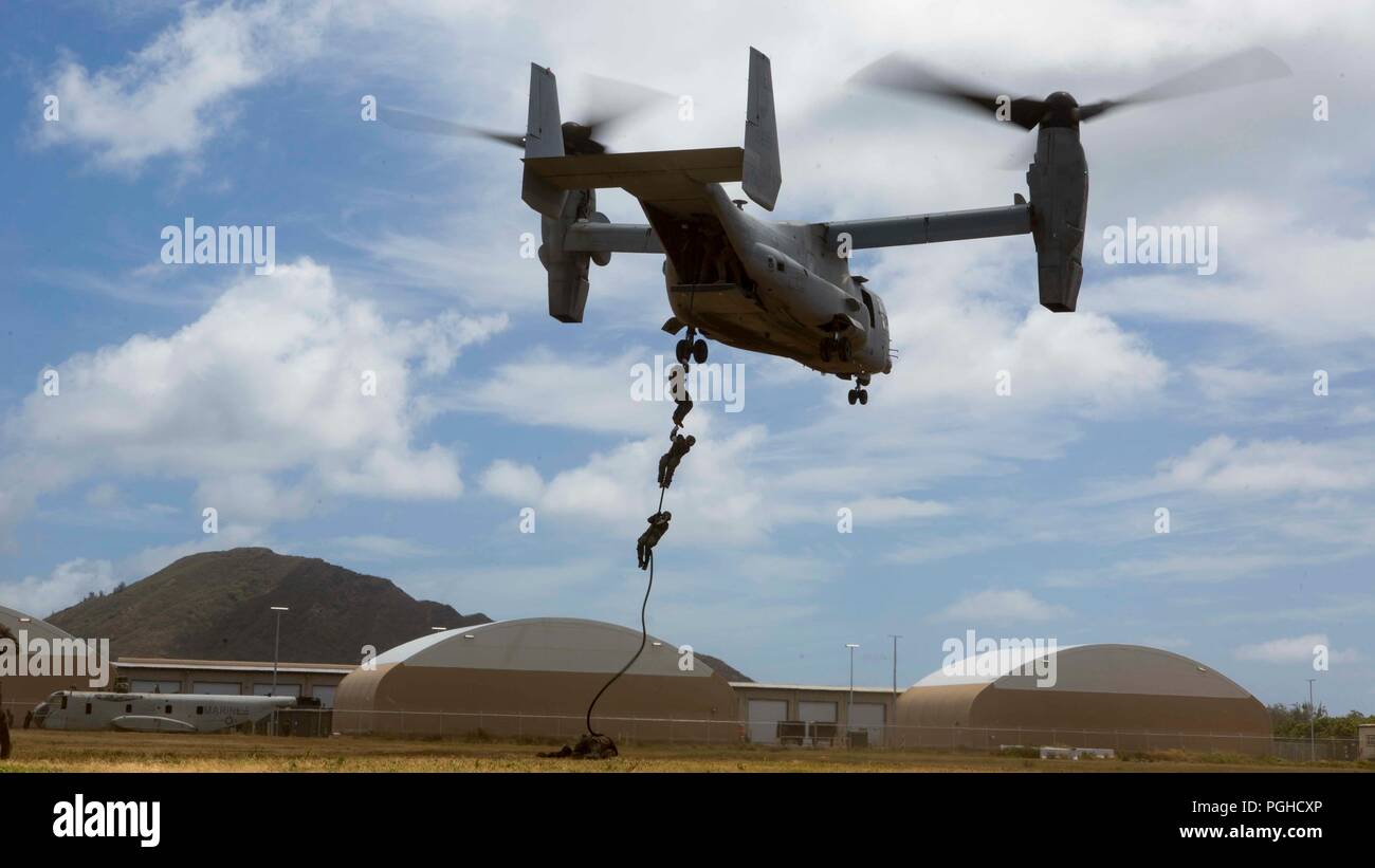 OAHU - U.S. Marines with Lima Company, Battalion Landing Team 3/1, 13th Marine Expeditionary Unit (MEU), fast-rope out of an MV-22B Osprey, Marine Medium Tiltrotor Squadron 166 Reinforced, 13th MEU, during sustainment training exercise, July 21, 2018. This training allowed Marines and Sailors to sustain skills developed during a comprehensive six-month predeployment training cycle, and included planning and executing ship-to-shore operations, company-sized helicopter and amphibious raids, combat marksmanship and convoy operations. The Essex Amphibious Ready Group/MEU team is a strong, flexible Stock Photo