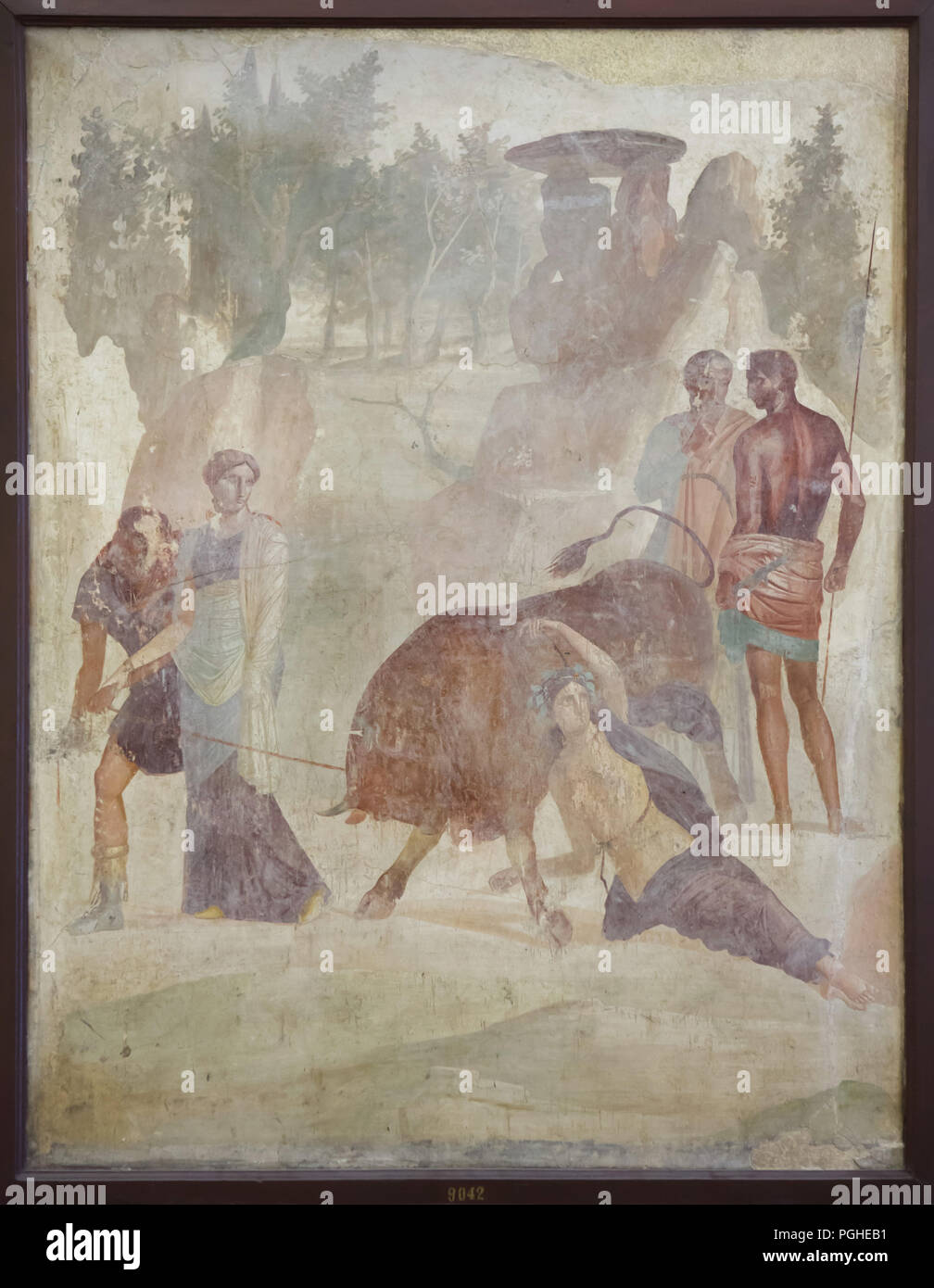 Punishment of Dirce by brothers Amphion and Zethus depicted in the Roman fresco from the House of the Grand Duke (Casa del Granduca di Toscana) in Pompeii (1-79 AD), now on display in the National Archaeological Museum (Museo Archeologico Nazionale di Napoli) in Naples, Campania, Italy. Dirce is tied to the bull by Amphion, with the permission of his brother Zethus, to punish her for the mistreatment she inflicted on their mother Antiope. Antiope looks on with compassion and seems to want to stop the hand of their son. Stock Photo