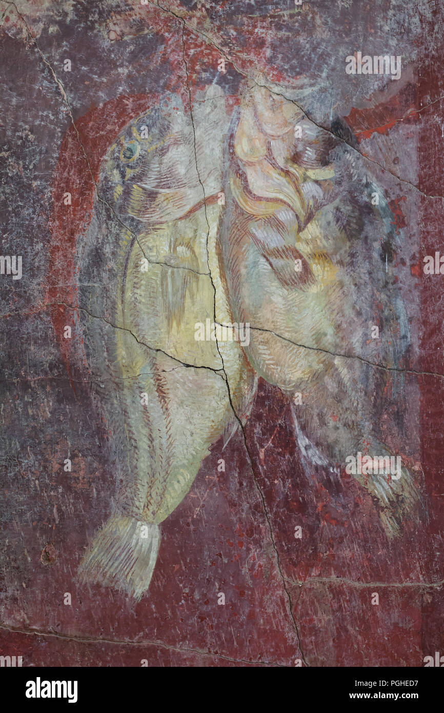 Fish depicted in the Roman fresco from Pompeii dated from the 1st century BC, now on display in the National Archaeological Museum (Museo Archeologico Nazionale di Napoli) in Naples, Campania, Italy. Stock Photo
