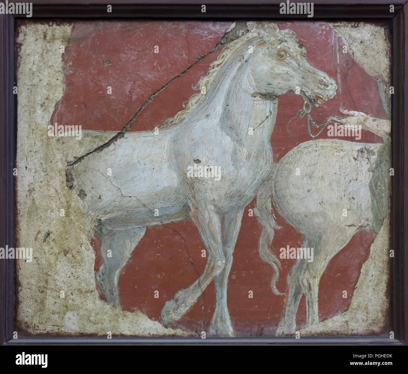 Running horses depicted in the Roman fresco, perhaps from a frieze, from the Villa Ariadne (Villa Arianna) in Stabiae, now on display in the National Archaeological Museum (Museo Archeologico Nazionale di Napoli) in Naples, Campania, Italy. Stock Photo