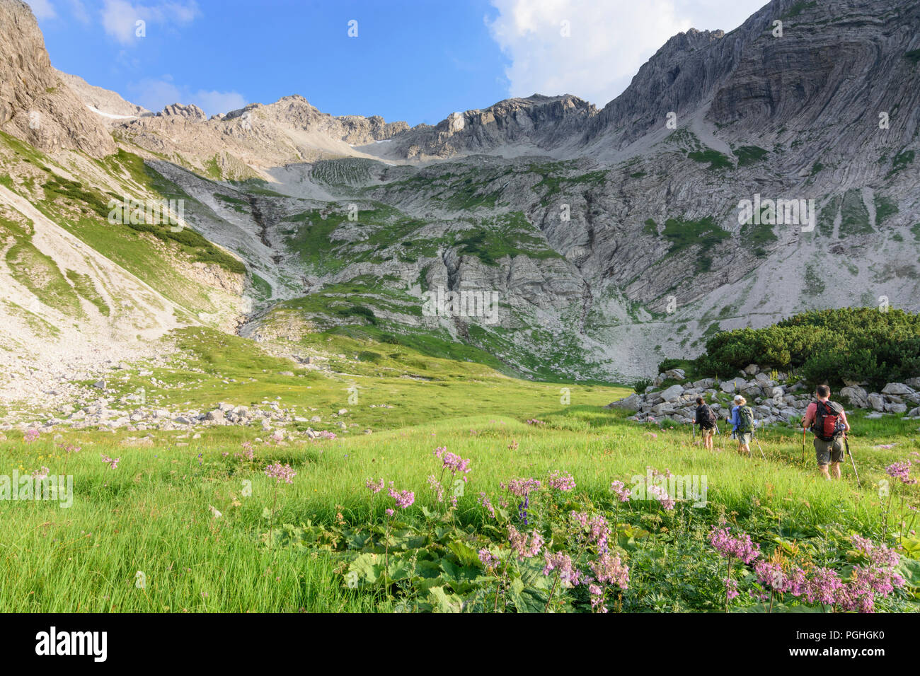Nebelhorn (Allgäuer Alpen) - Wikipedia
