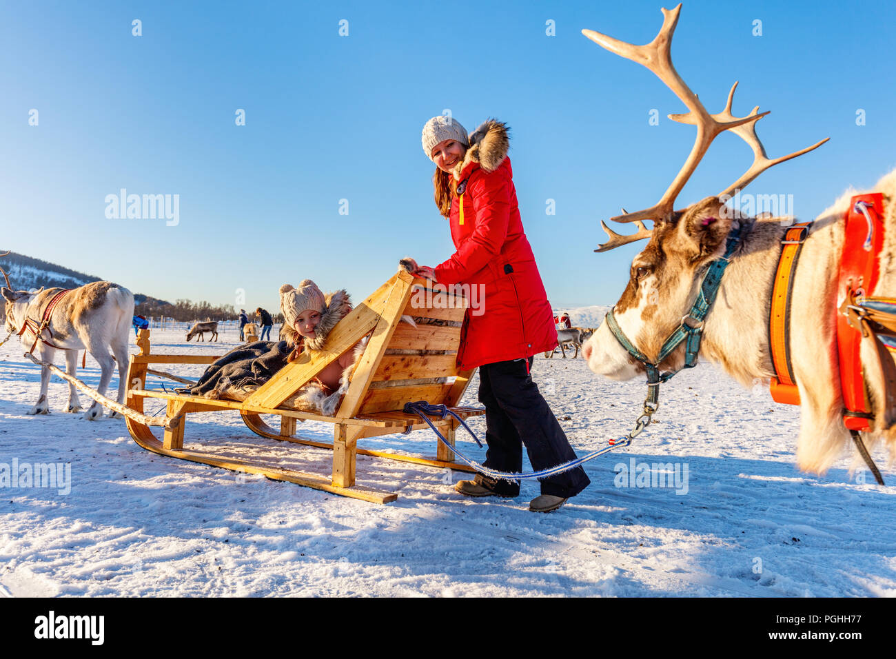 Family of mother and her daughter at reindeer safari on sunny winter day in Northern Norway Stock Photo