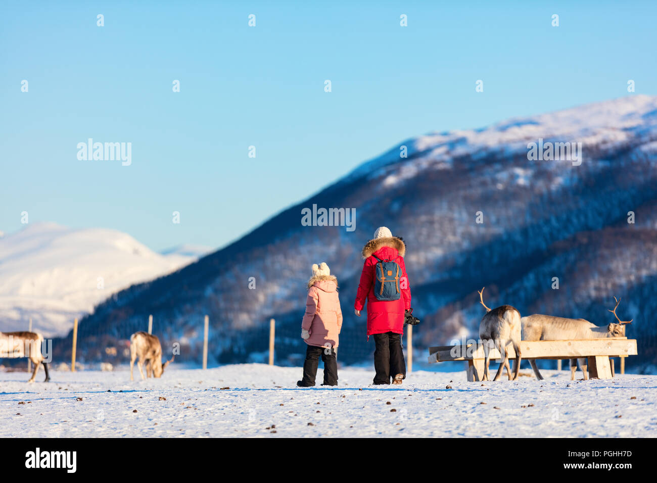 Family of mother and her daughter outdoors feeding reindeers on sunny winter day in Northern Norway Stock Photo