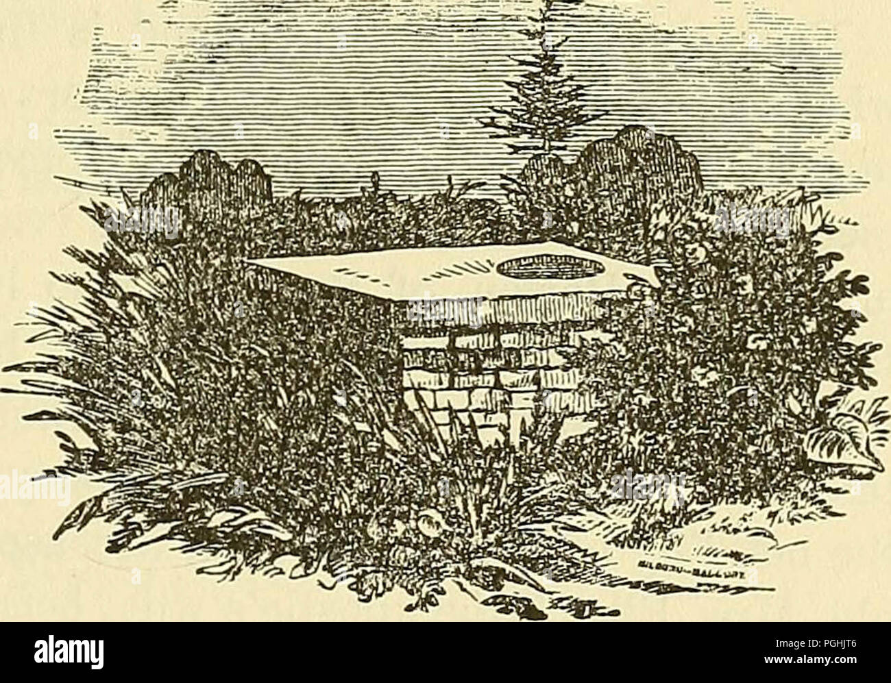 "The town of Roxbury its memorable persons and places, its history and