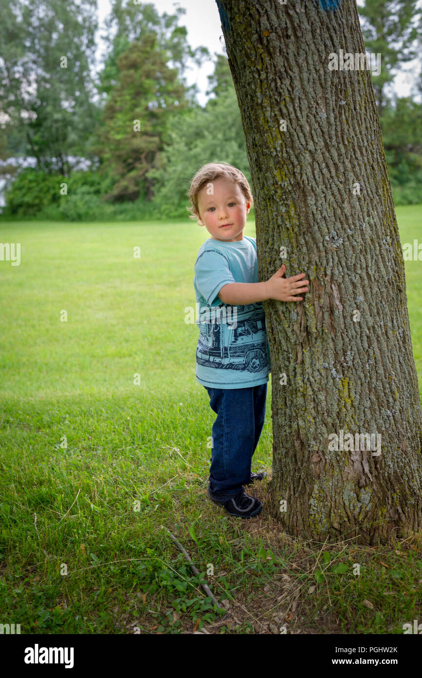 Toddler hugging a tree Stock Photo Alamy