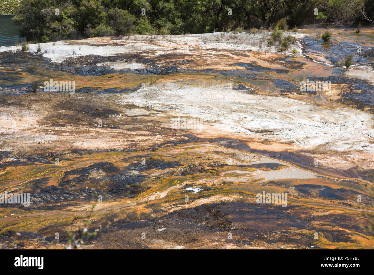 Orange microbial mats and mineral deposits at the geothermal area