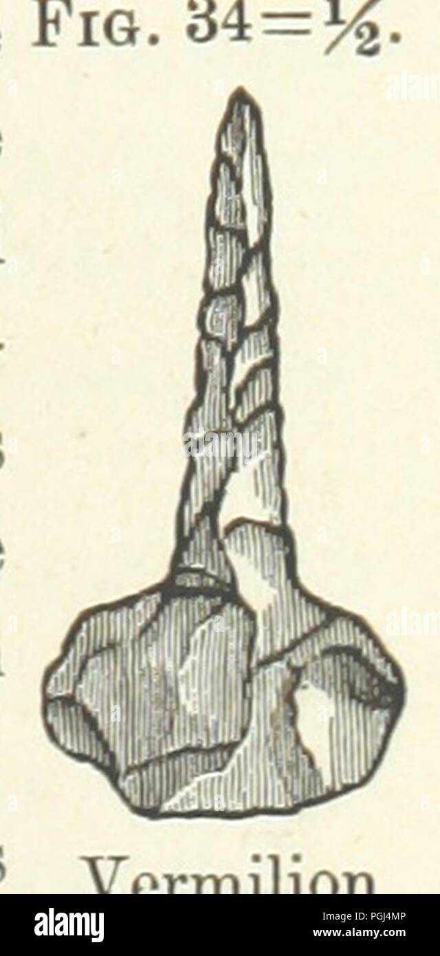 Image From Page 215 Of History Of Iroquois County By E S - 
