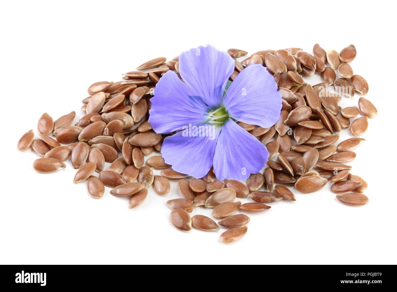 Flaxseed Flower High Resolution Stock Photography and Images Alamy
