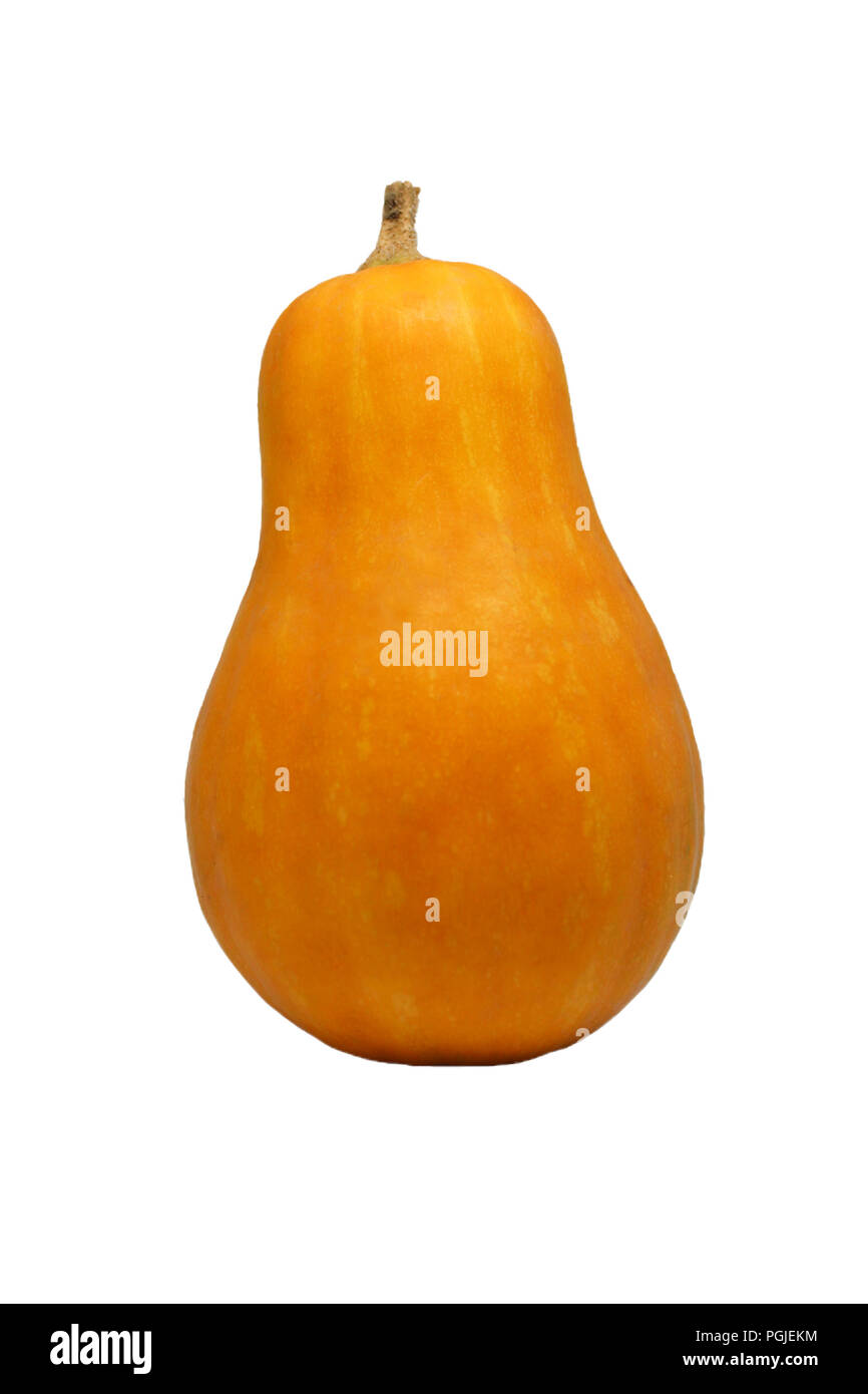 Orange pumpkin isolated on white background Stock Photo - Alamy