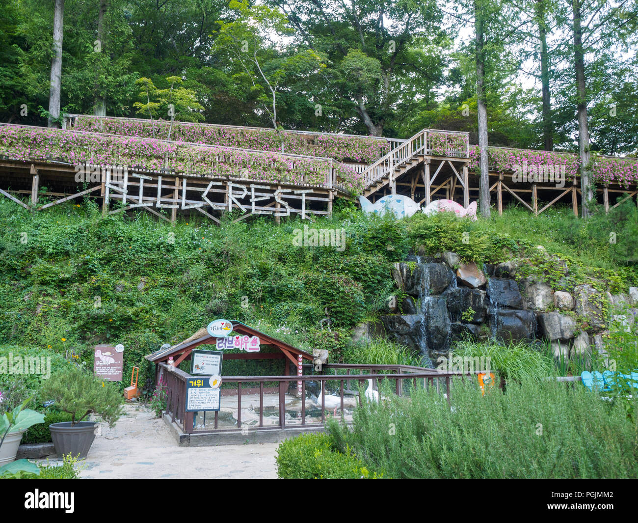 Daegu, South Korea - Aug 19, 2018 : Hillcrest (Hub Hills), Eco theme park  featuring gardens, kids' rides & an adventure area with zip-lining &  rock-cl Stock Photo - Alamy