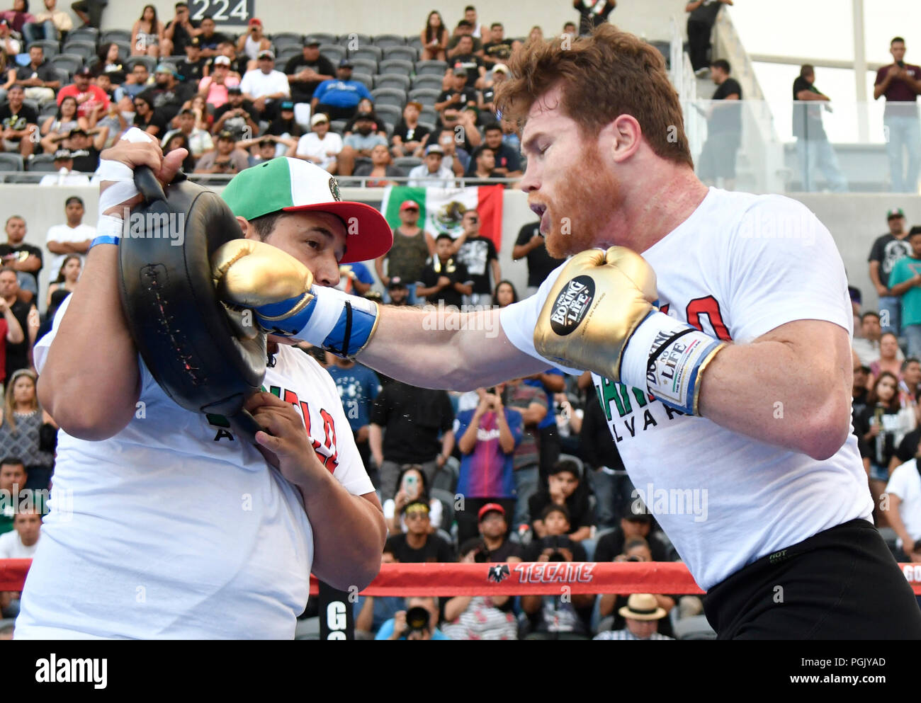California, USA. 26th Aug, 2018. Canelo Alvarez workouts for the fans Sunday at Banc of California Stadium. 26th Aug, 2018. Today Canelo Alvarez and GGG did media day workouts in preparation for their anticipated rematch on September 15 in Las Vegas.Photo by Gene Blevins/LA DailyNews/SCNG/ZUMAPRESS Credit: Gene Blevins/ZUMA Wire/Alamy Live News Stock Photo