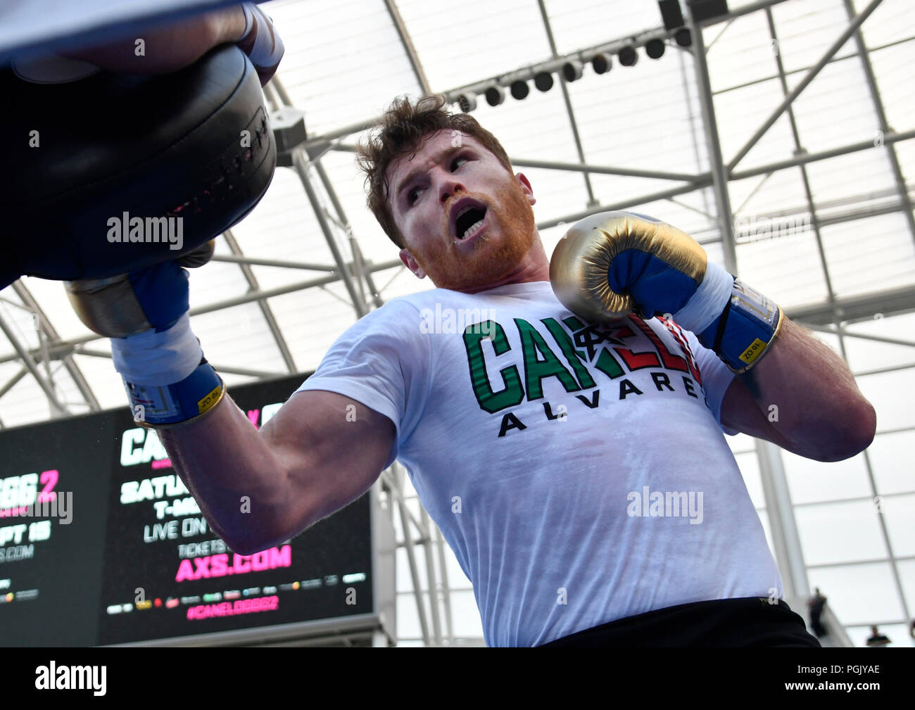 California, USA. 26th Aug, 2018. Canelo Alvarez workouts for the fans Sunday at Banc of California Stadium. 26th Aug, 2018. Today Canelo Alvarez and GGG did media day workouts in preparation for their anticipated rematch on September 15 in Las Vegas.Photo by Gene Blevins/LA DailyNews/SCNG/ZUMAPRESS Credit: Gene Blevins/ZUMA Wire/Alamy Live News Stock Photo