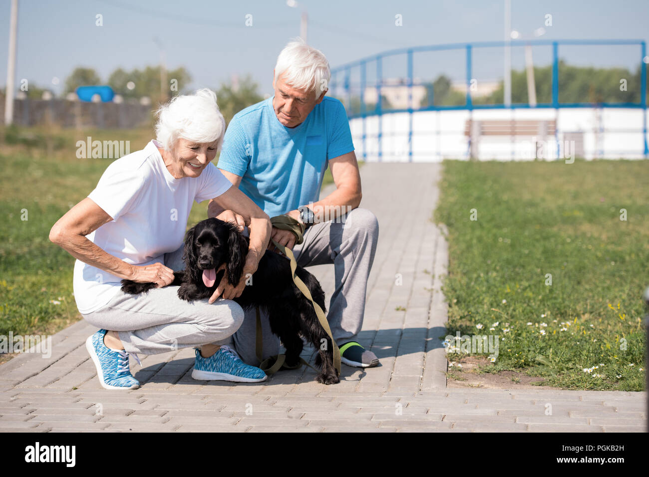 Full length portrait of active senior couple enjoying morning walk with pet dog on park, copy space Stock Photo