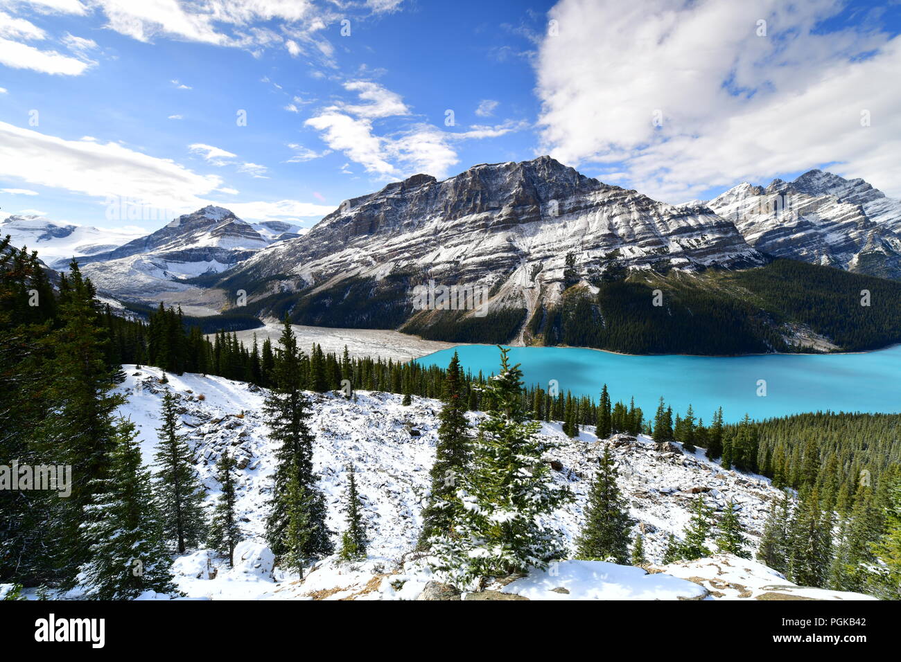 View from Bow Summit of Peyto lake in Banff National Park, Alberta ...