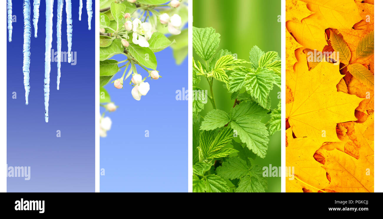 Four seasons of year. Set of vertical nature banners with winter ...