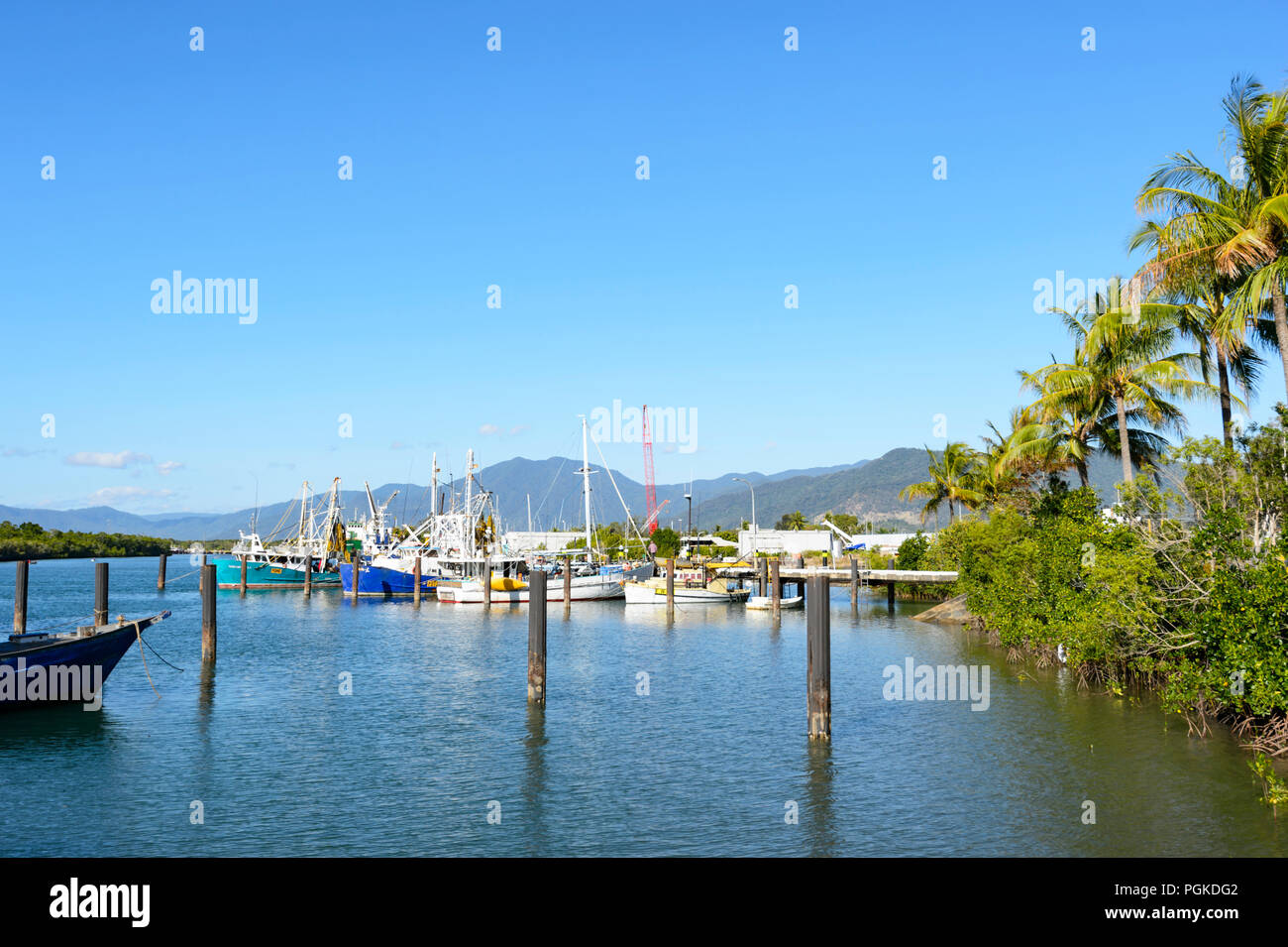 Fleet of prawn trawlers anchored at Portsmith, Cairns, Far North
