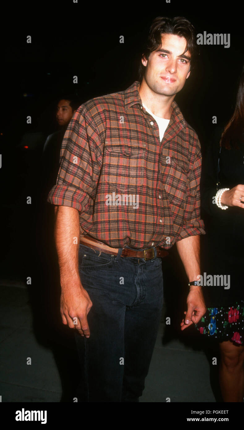 BEVERLY HILLS, CA - AUGUST 19: Actor John Haymes Newton attends the 'Johnny Suede' Beverly Hills Premiere on August 19, 1992 at the Laemmle's Fine Arts Theatre in Beverly Hills, California. Photo by Barry King/Alamy Stock Photo Stock Photo