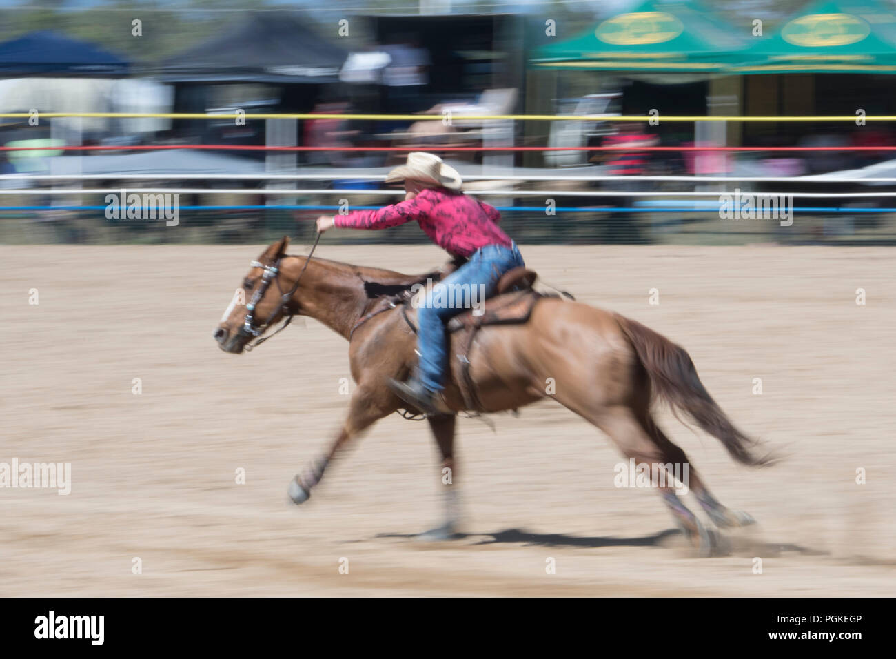 Woman rider competing in the barrel race at Mareeba rodeo, Far North Queensland, FNQ, QLD, Australia Stock Photo