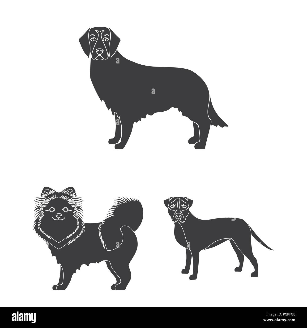 Dog breeds black icons in set collection for design.Dog pet vector ...