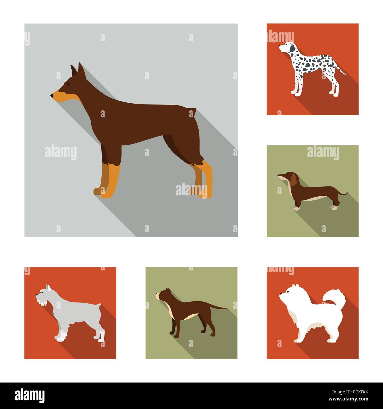 Dog breeds flat icons in set collection for design.Dog pet vector ...