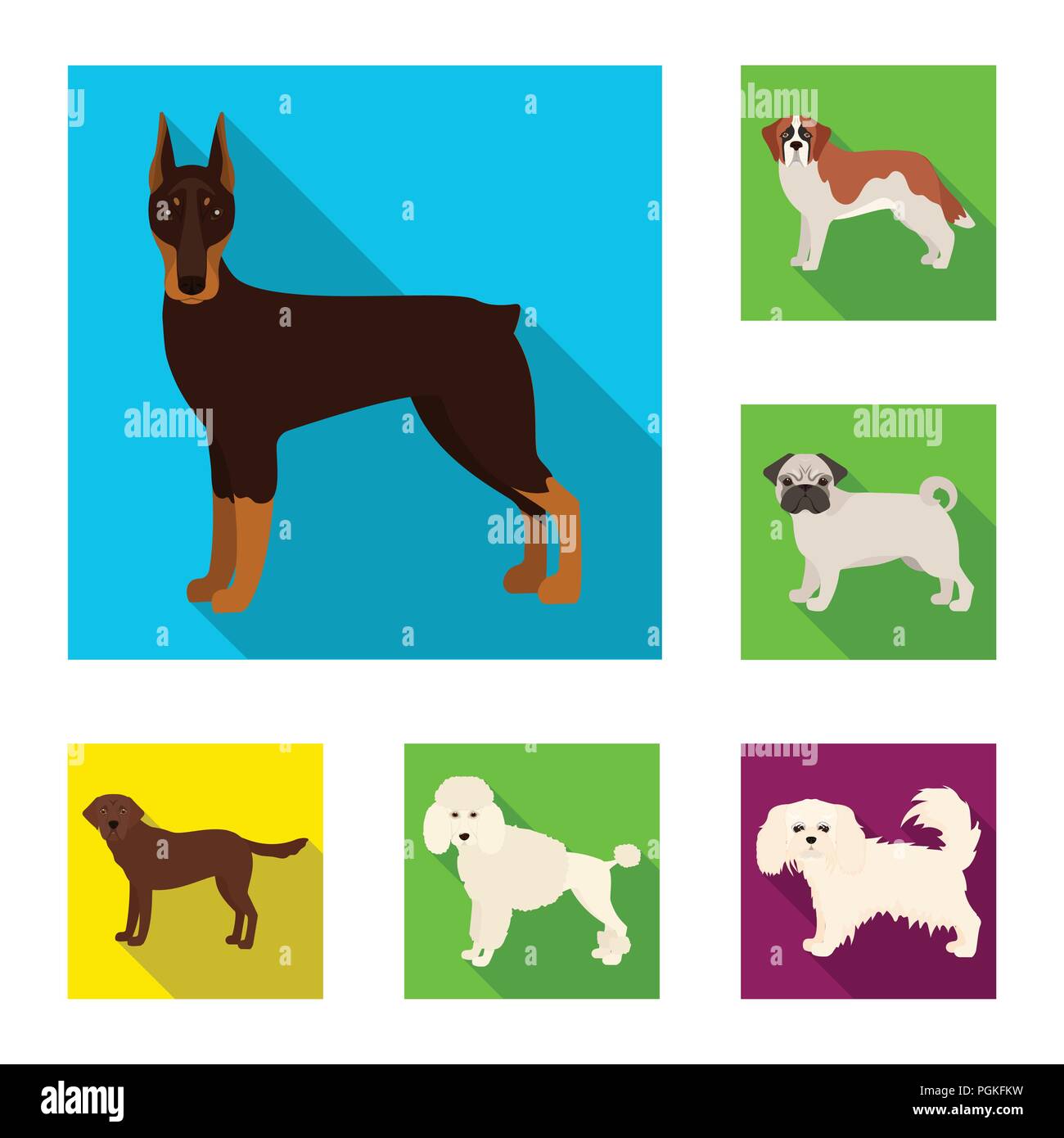 Dog breeds flat icons in set collection for design.Dog pet vector ...