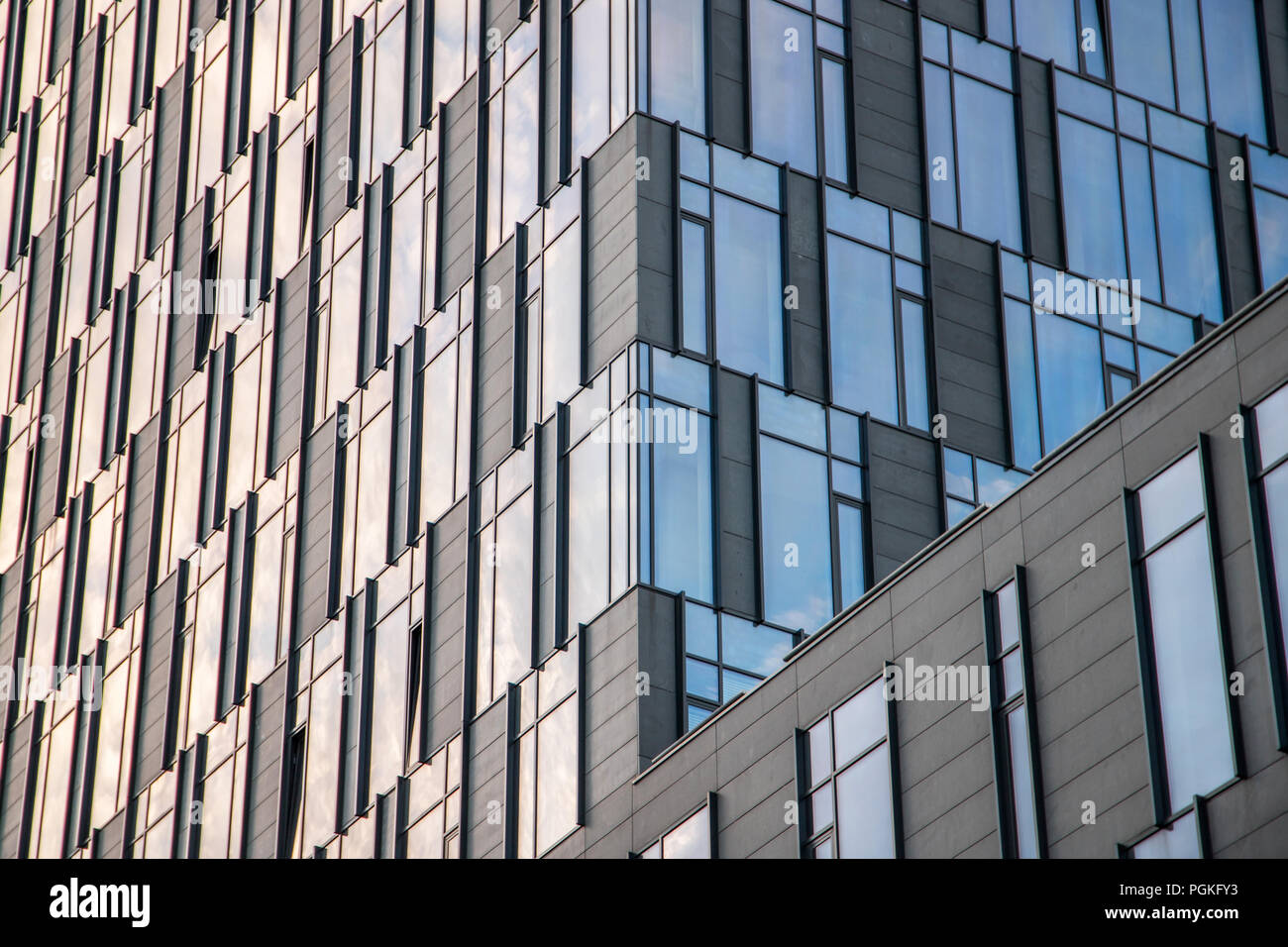 Skyscraper on white background hi-res stock photography and images - Alamy
