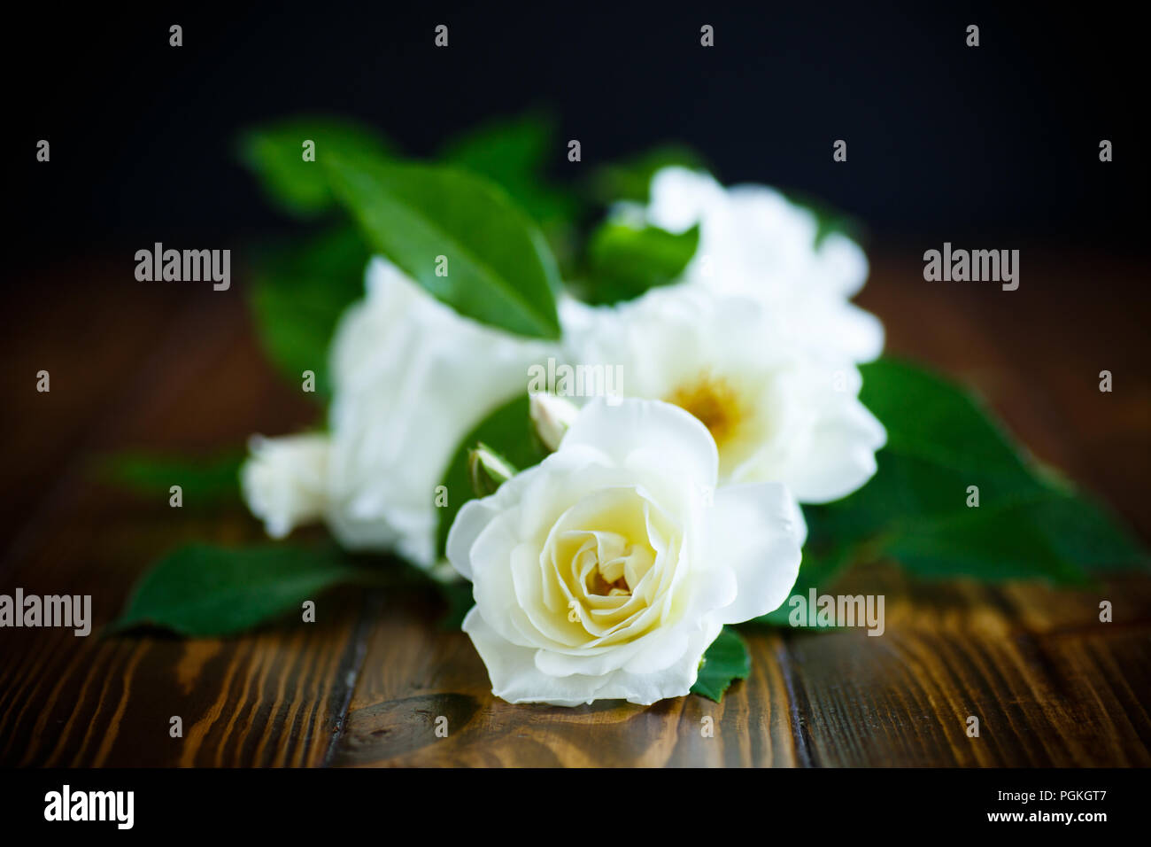 White Rip Roses Beautiful white blooming roses on hi-res stock photography and images ...