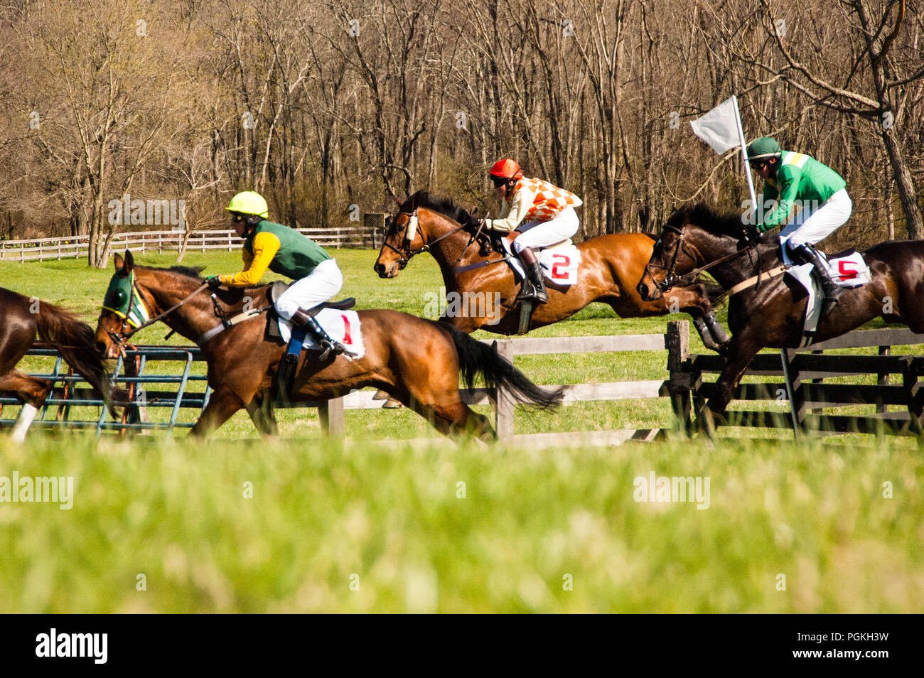 Marylands steeplechasing tradition hires stock photography and images