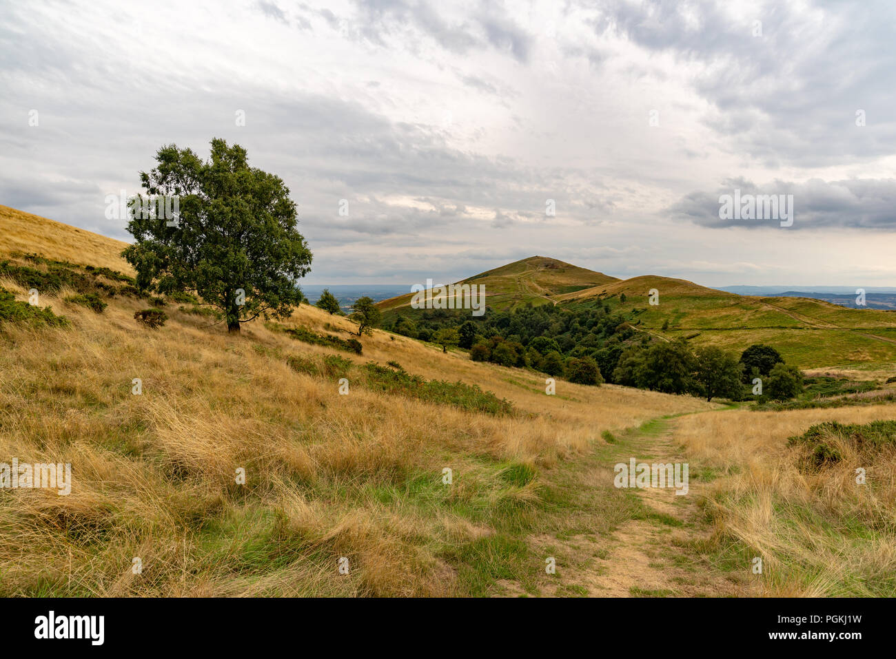 Looking towards the Worcestershire Beacon from North Hill, Malvern Hills,  Worcestershire, England, UK Stock Photo