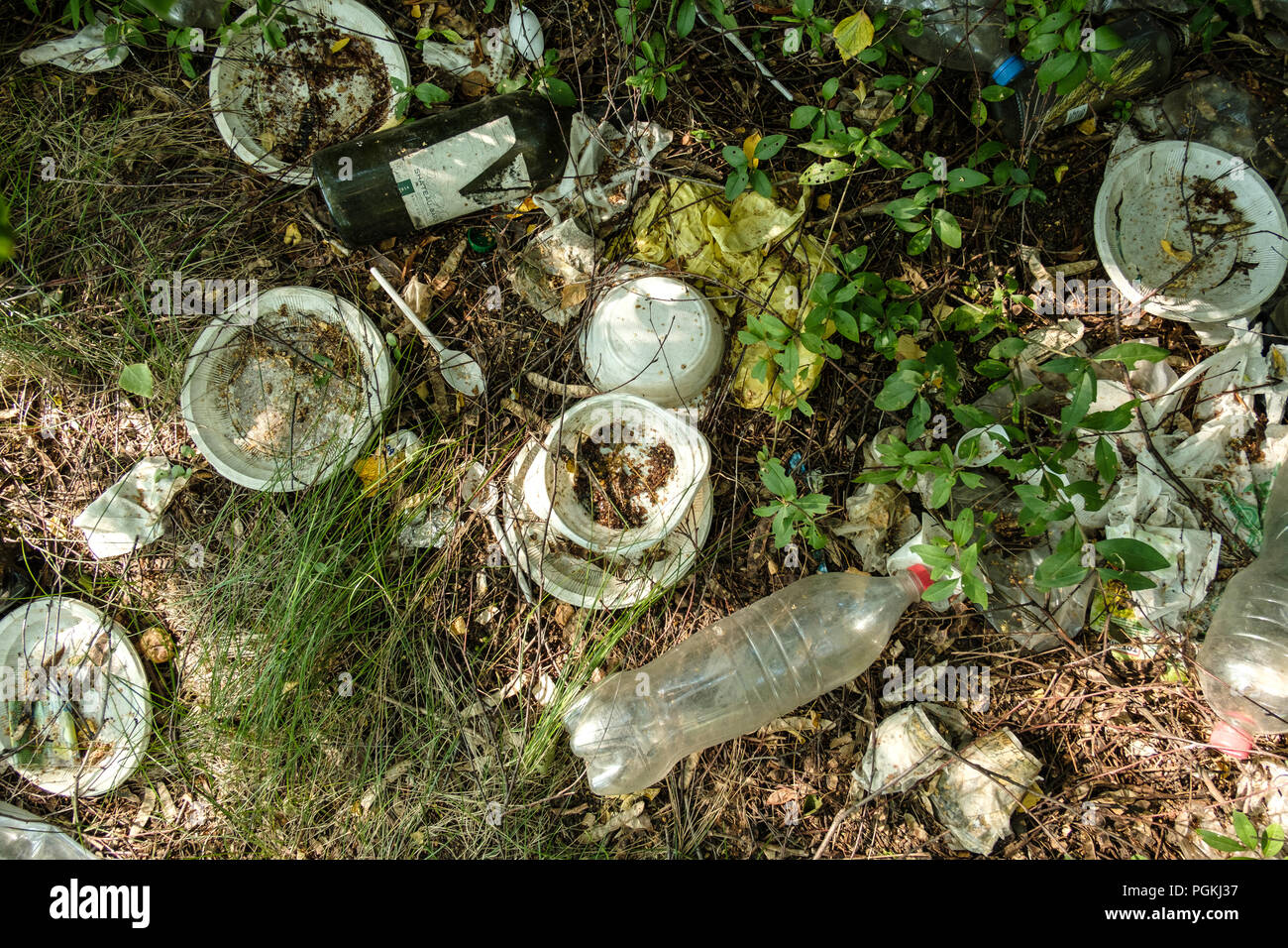 Plastic garbage on nature grows grass. Plastic tableware. Stock Photo