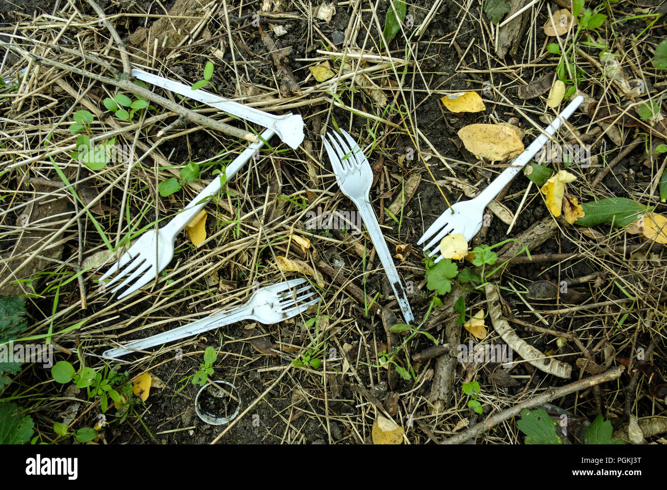 Plastic garbage on nature grows grass. Plastic forks.Plastic tableware. Stock Photo