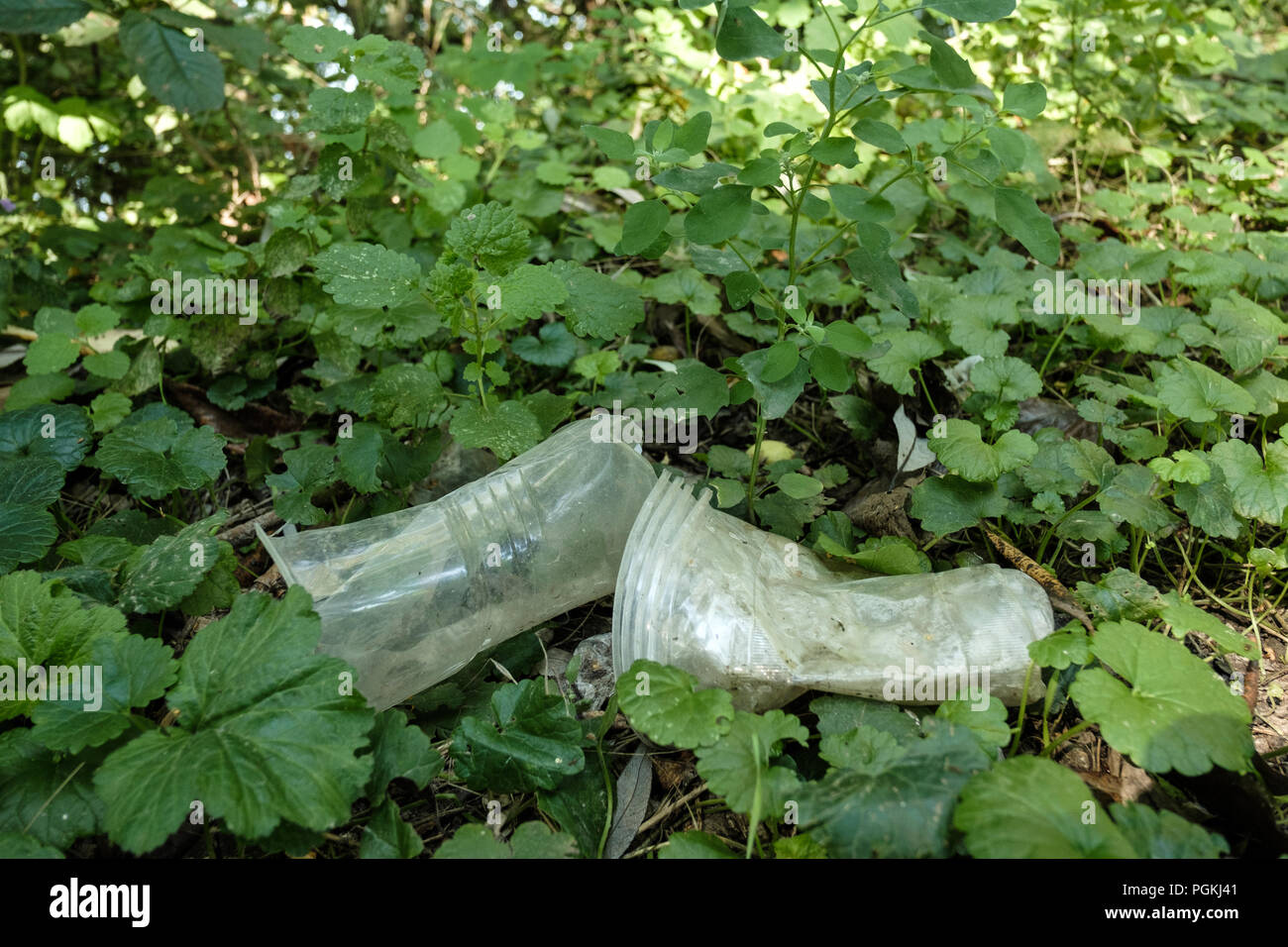 Plastic tableware.Rubbish, plastic glasses in the grass. Stock Photo