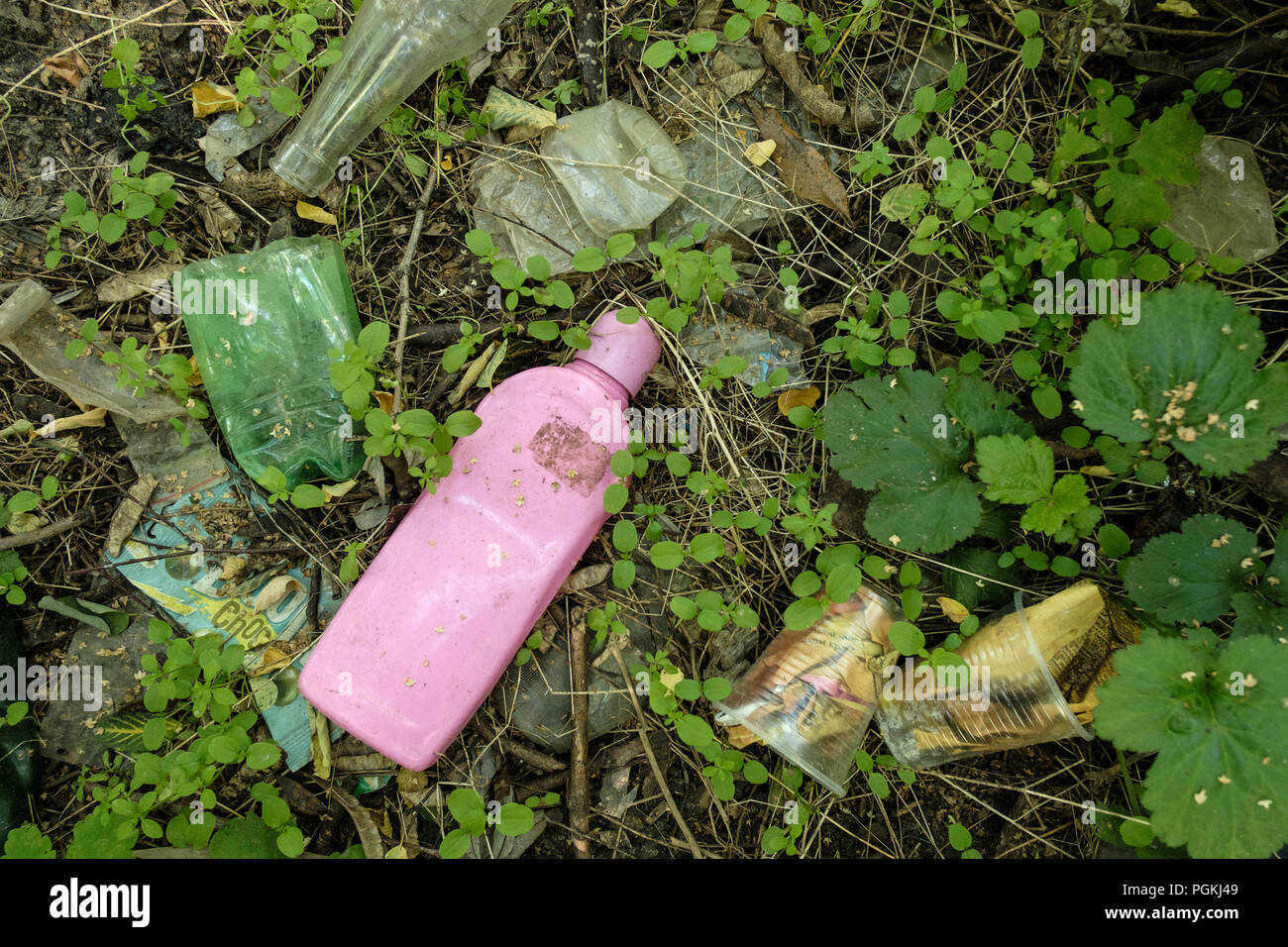 Plastic debris pollutes the nature. Plastic bottle. Stock Photo