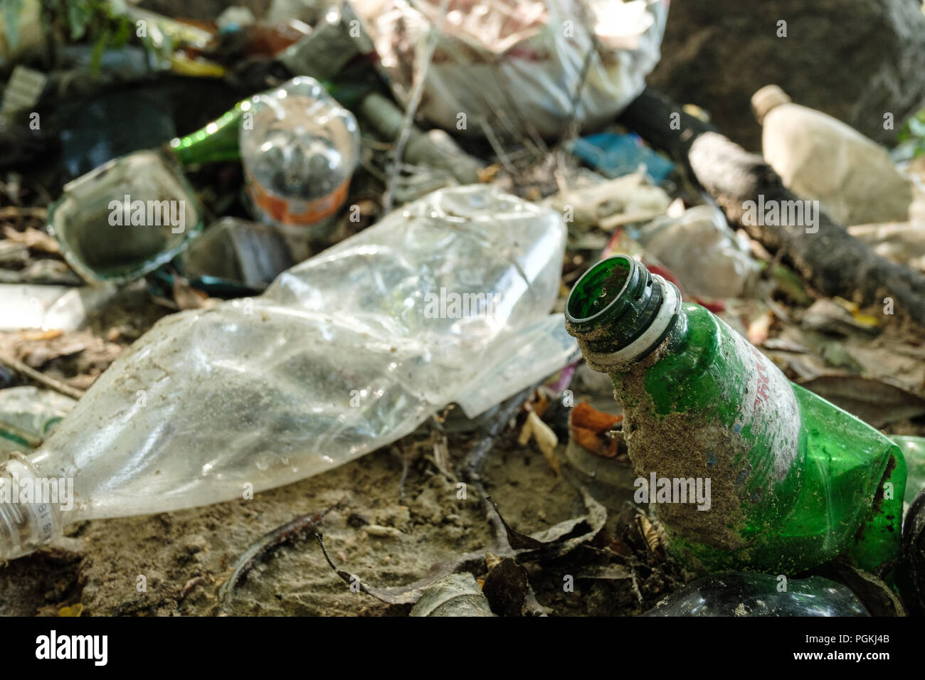 Plastic debris pollutes the nature. Plastic bottle. Stock Photo