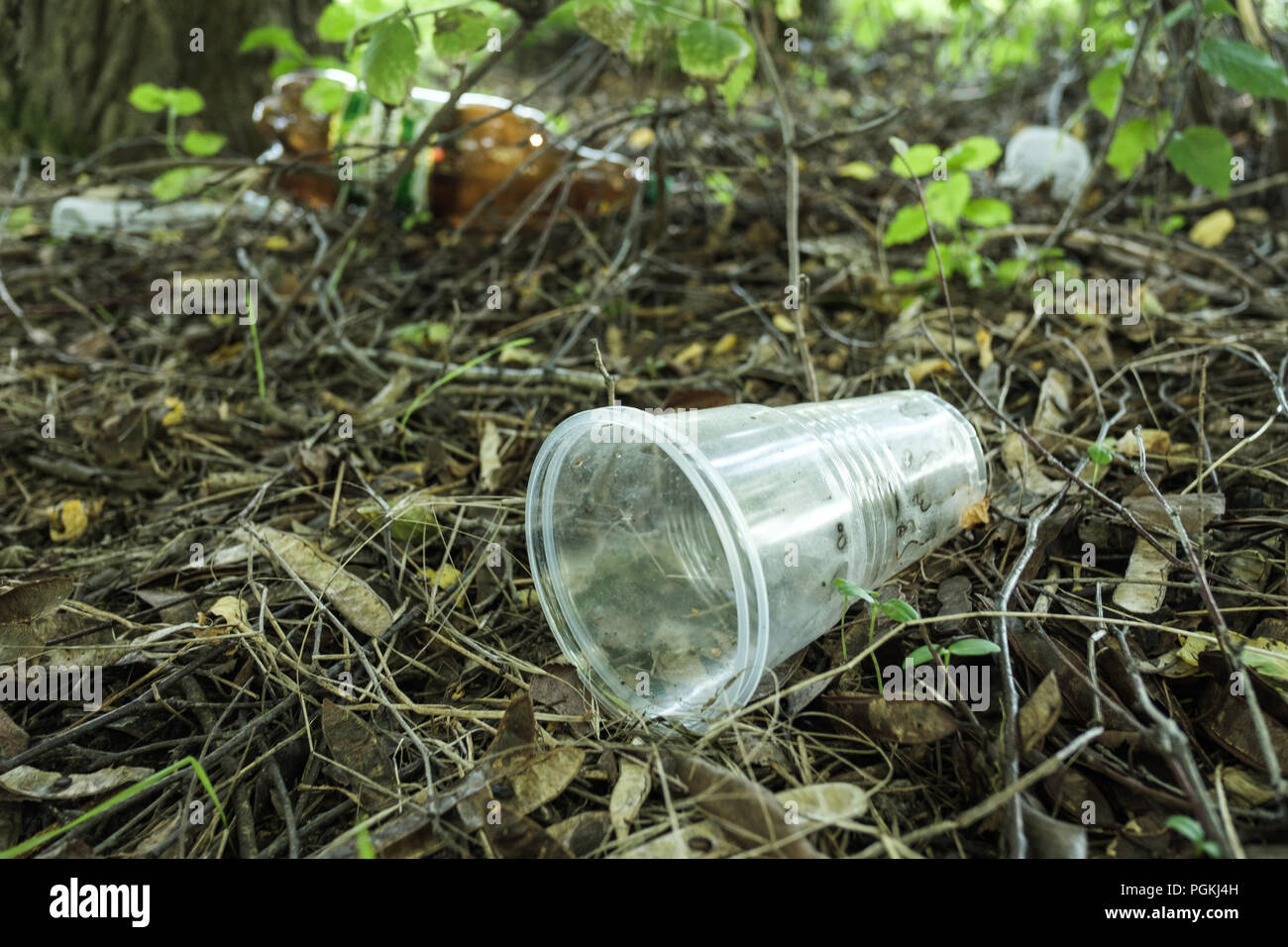 Plastic debris pollutes the nature. Plastic cup. Stock Photo